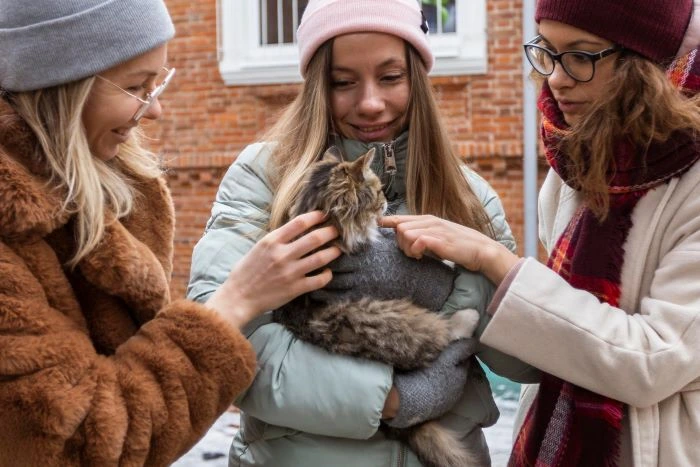 Bicho felino com humanos à sua volta