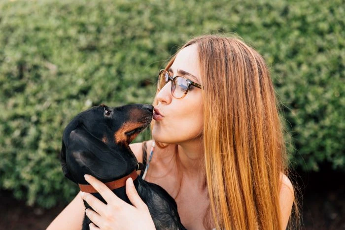 Bicho canino lambendo a dona
